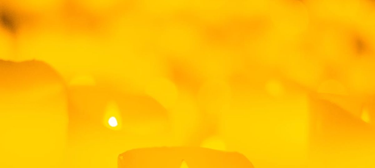 galeria-1-qpbgmYzZ.unnamed-file