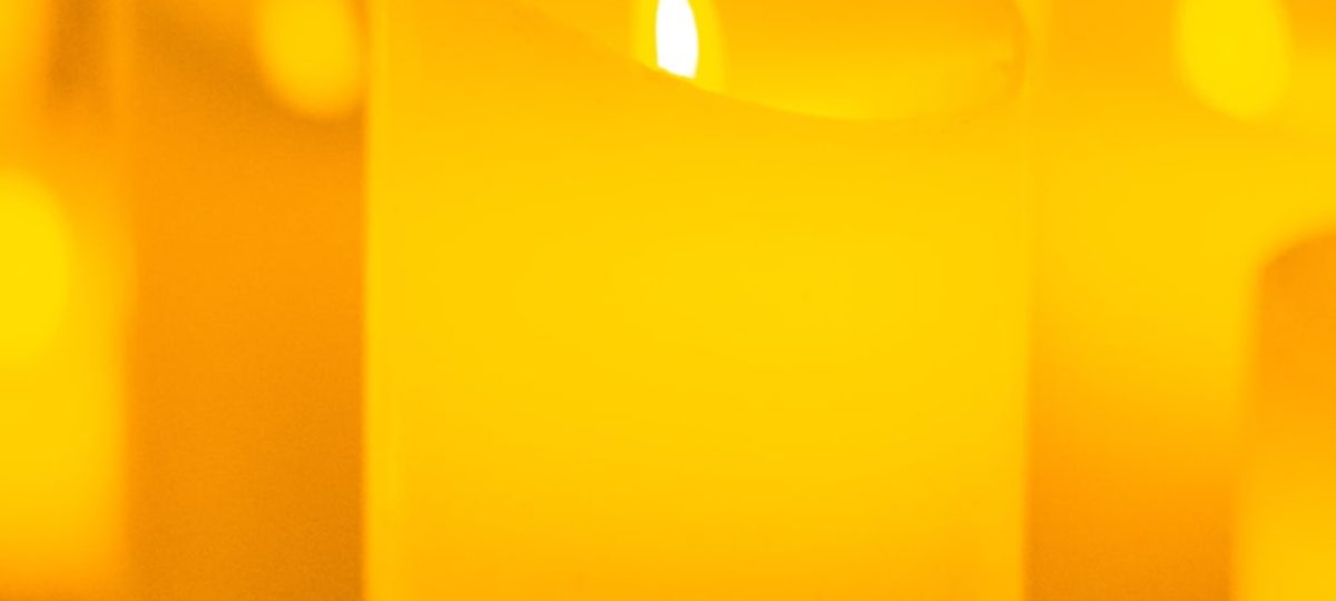 galeria-2-URFCohTL.unnamed-file