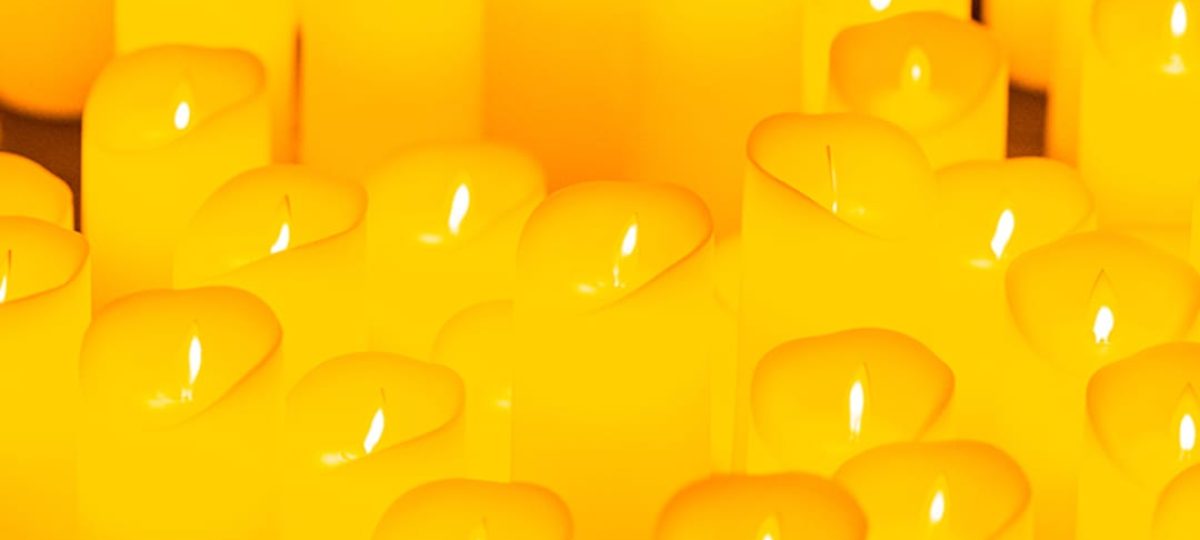 galeria-2-biKOdRIL.unnamed-file